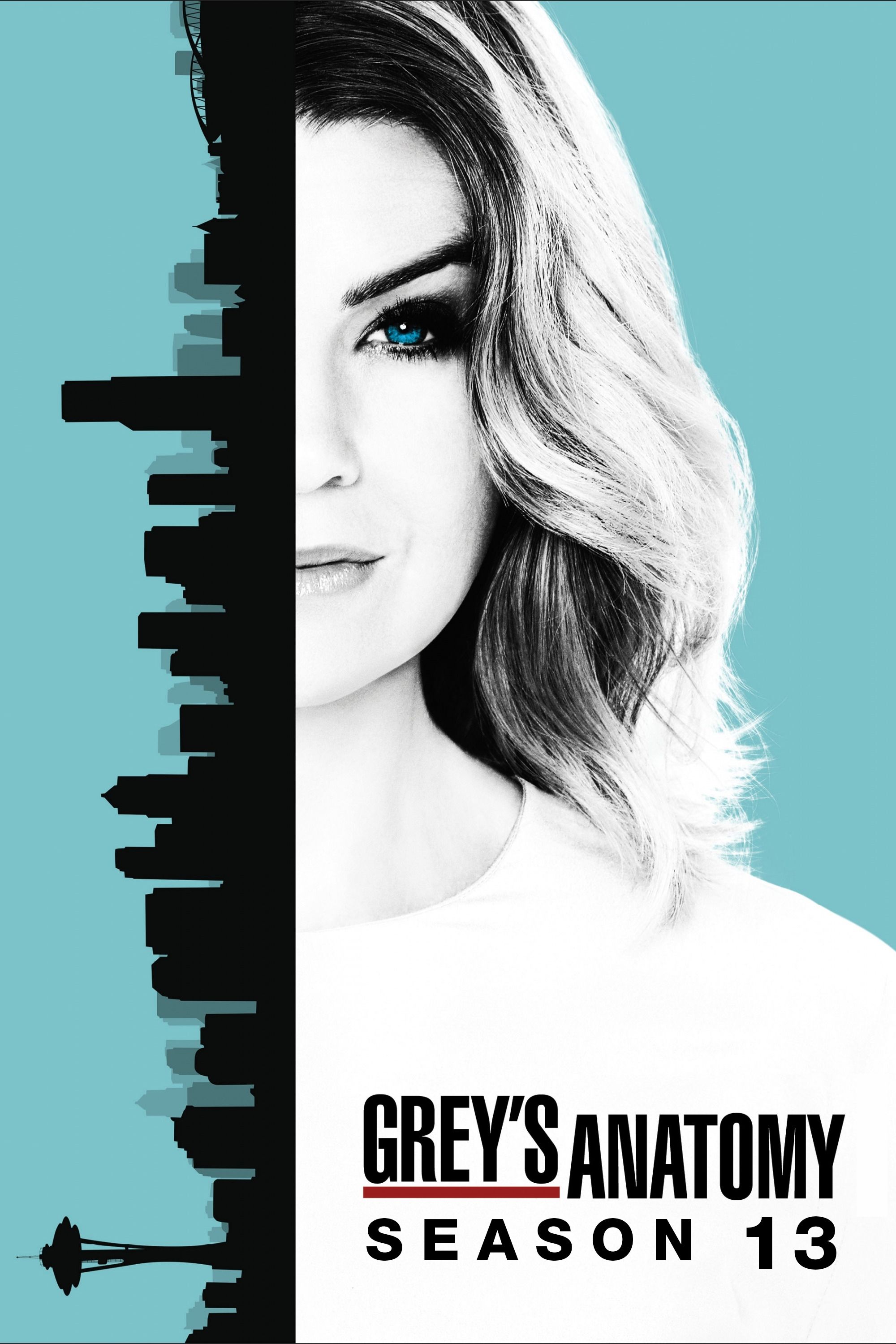 Grey's Anatomy - Season 13 [13921] (A1763985698) [[Shows]] --Plex--